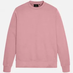 Recolution Sweatshirt Tamarillo